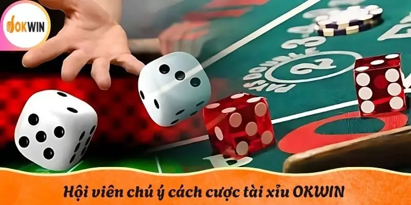 Hội viên chú ý cách cược tài xỉu OKWIN