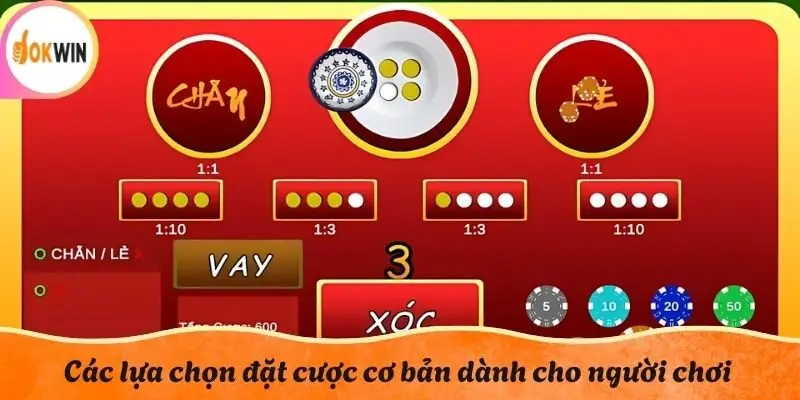 Các lựa chọn đặt cược cơ bản dành cho người chơi