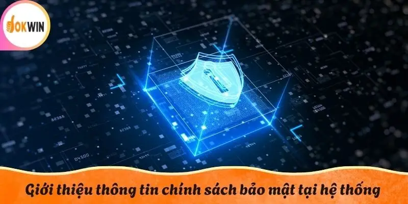 Giới thiệu thông tin chính sách bảo mật tại hệ thống