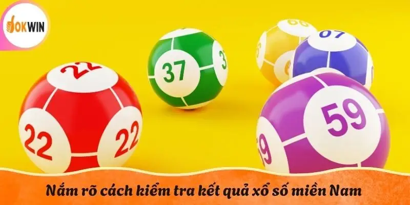Nắm rõ cách kiểm tra kết quả xổ số miền Nam